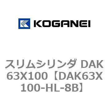 DAK63X100-HL-8B XV_ DAK63X100 RKlC 71765164