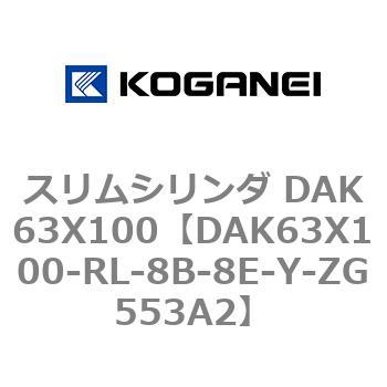 DAK63X100-RL-8B-8E-Y-ZG553A2 XV_ DAK63X100 RKlC 71765234