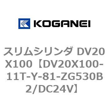 スリムシリンダ DV20X100 コガネイ