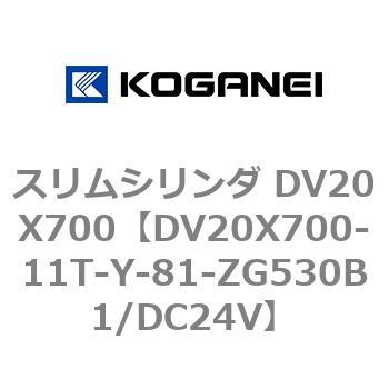 スリムシリンダ DV20X700 コガネイ