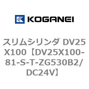 スリムシリンダ DV25X100 コガネイ