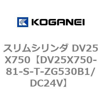 スリムシリンダ DV25X750 コガネイ