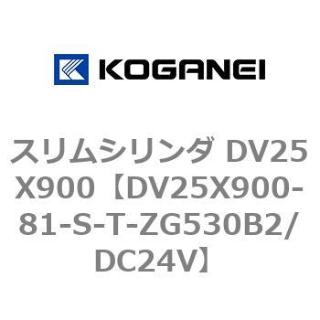 スリムシリンダ DV25X900 コガネイ