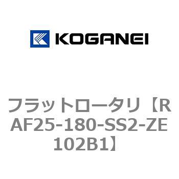 RAF25-180-SS2-ZE102B1 tbg[^ RKlC 73168025