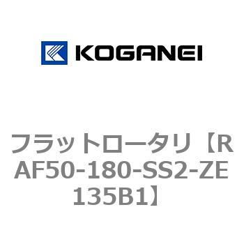 RAF50-180-SS2-ZE135B1 tbg[^ RKlC 73168104