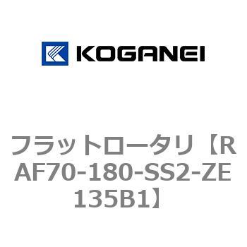RAF70-180-SS2-ZE135B1 tbg[^ RKlC 73168165