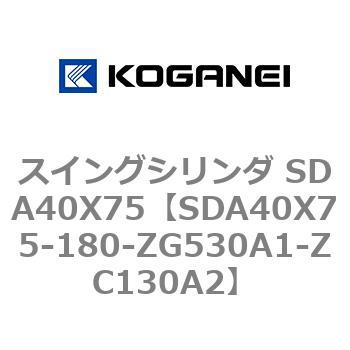 SDA40X75-180-ZG530A1-ZC130A2 XCOV_ SDA40X75 RKlC 73200006