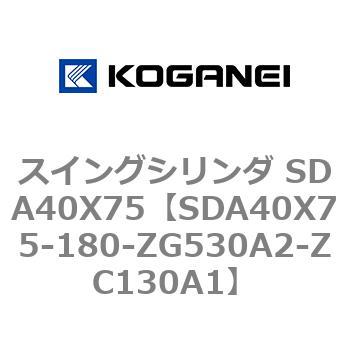 SDA40X75-180-ZG530A2-ZC130A1 XCOV_ SDA40X75 RKlC 73200015