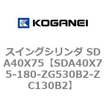 SDA40X75-180-ZG530B2-ZC130B2 XCOV_ SDA40X75 RKlC 73200067