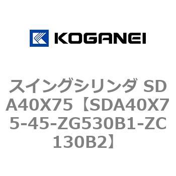 SDA40X75-45-ZG530B1-ZC130B2 XCOV_ SDA40X75 RKlC 73200094