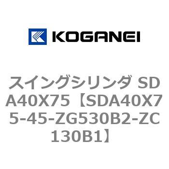 SDA40X75-45-ZG530B2-ZC130B1 XCOV_ SDA40X75 RKlC 73200103