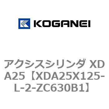 アクシスシリンダ XDA25 コガネイ