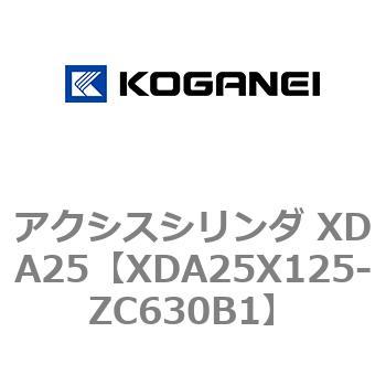 アクシスシリンダ XDA25 コガネイ