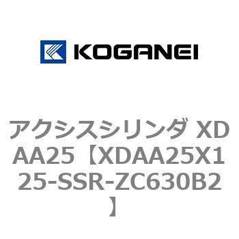 アクシスシリンダ XDAA25 コガネイ