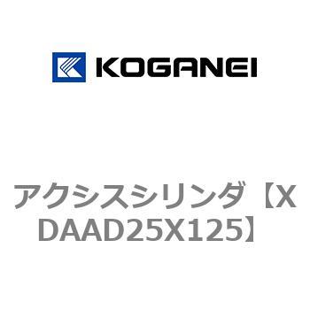 アクシスシリンダ コガネイ
