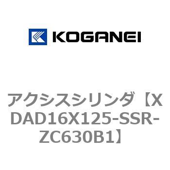 アクシスシリンダ コガネイ