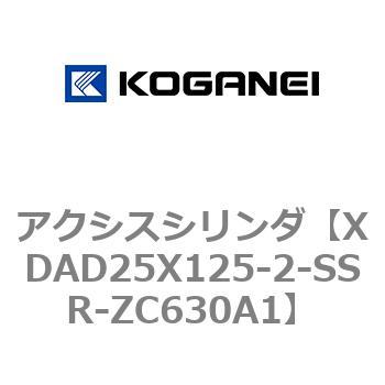 アクシスシリンダ コガネイ