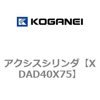アクシスシリンダ コガネイ