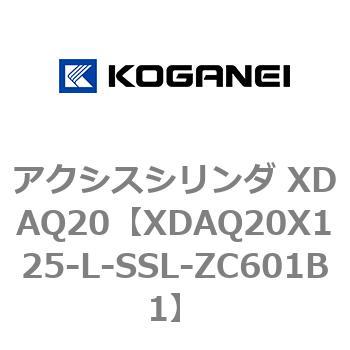 アクシスシリンダ XDAQ20 コガネイ