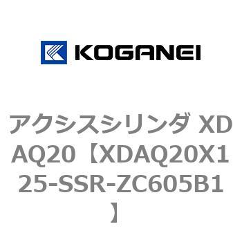 アクシスシリンダ XDAQ20 コガネイ