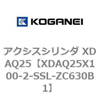 アクシスシリンダ XDAQ25 コガネイ
