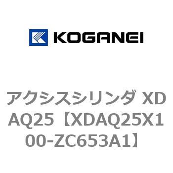 アクシスシリンダ XDAQ25 コガネイ