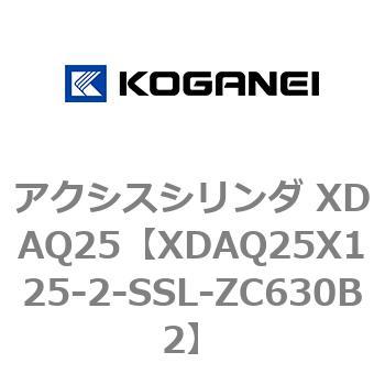 アクシスシリンダ XDAQ25 コガネイ
