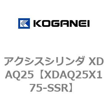 アクシスシリンダ XDAQ25 コガネイ