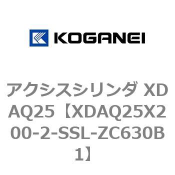 アクシスシリンダ XDAQ25 コガネイ