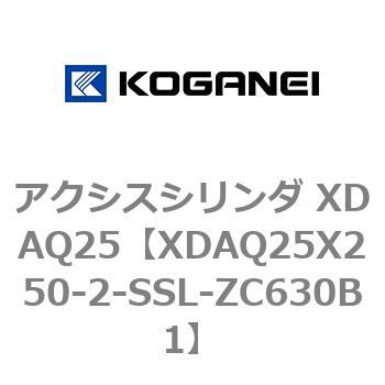 アクシスシリンダ XDAQ25 コガネイ