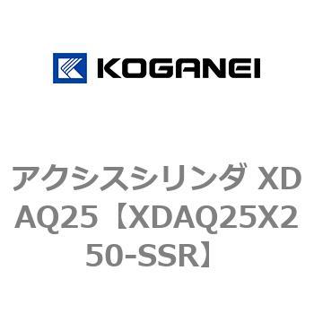 アクシスシリンダ XDAQ25 コガネイ