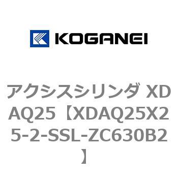 アクシスシリンダ XDAQ25 コガネイ