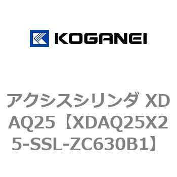 アクシスシリンダ XDAQ25 コガネイ