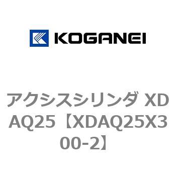 アクシスシリンダ XDAQ25 コガネイ