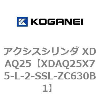 アクシスシリンダ XDAQ25 コガネイ