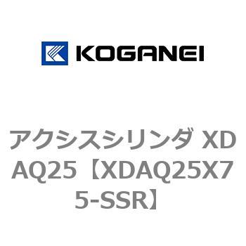 アクシスシリンダ XDAQ25 コガネイ