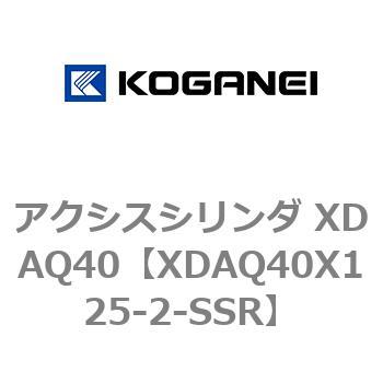 アクシスシリンダ XDAQ40 コガネイ
