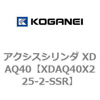 アクシスシリンダ XDAQ40 コガネイ