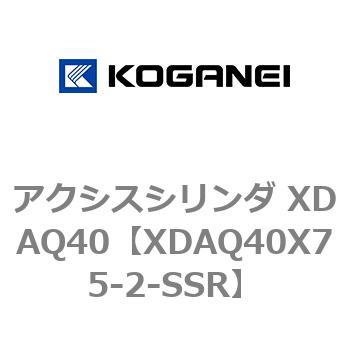 アクシスシリンダ XDAQ40 コガネイ
