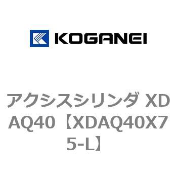 アクシスシリンダ XDAQ40 コガネイ