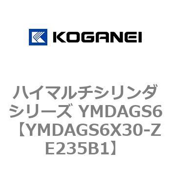 ハイマルチシリンダシリーズ YMDAGS6 コガネイ
