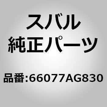 (66077)オーナメント，パネル アセンブリ ポケツト