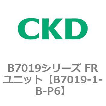 B7019-1-B-P6 B7019V[Y FRjbg CKD 80680214