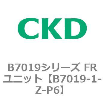 B7019-1-Z-P6 B7019V[Y FRjbg CKD 80680266