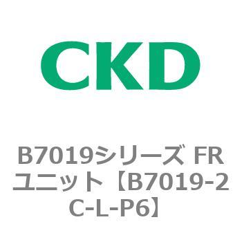 B7019-2C-L-P6 B7019V[Y FRjbg CKD 80680704