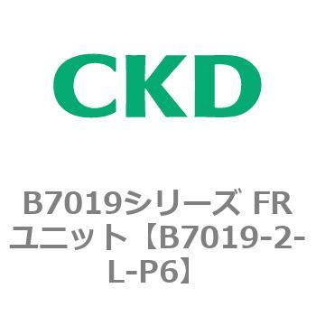 B7019-2-L-P6 B7019V[Y FRjbg CKD 80680731