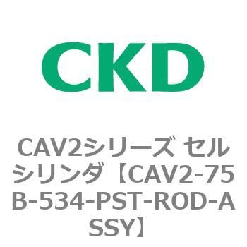 CAV2-75B-534-PST-ROD-ASSY CAV2シリーズ セルシリンダ(CAV2-75B～) 1