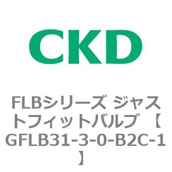 GFLB31-3-0-B2C-1 FLB�V���[�Y �W���X�g�t�B�b�g�o���u (���p������2�|�[�g�� �}�j�z�[���h) CKD 82807873