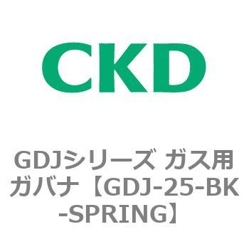 GDJシリーズ ガス用ガバナ CKD