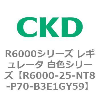 R6000シリーズ レギュレータ 白色シリーズ(R6000-20～) CKD